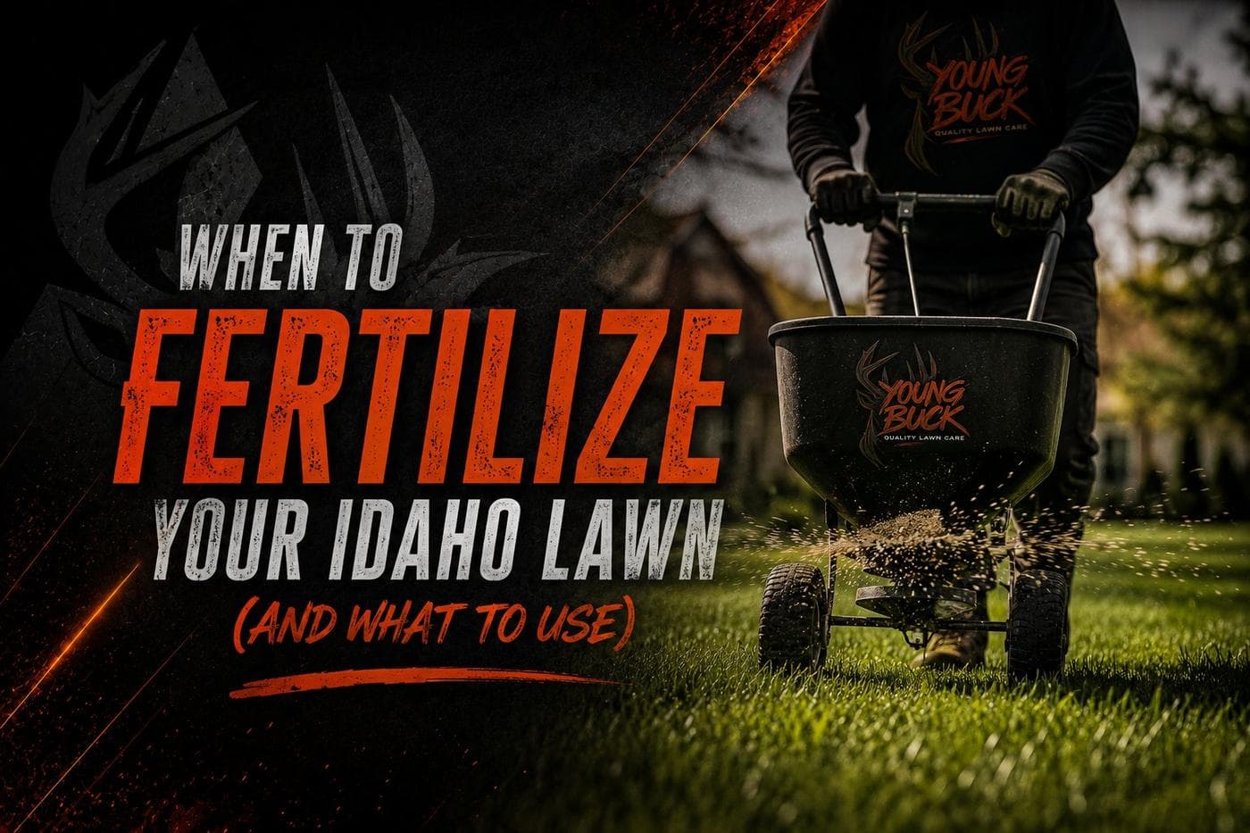 When to Fertilize Your Idaho Lawn (And What to Use)