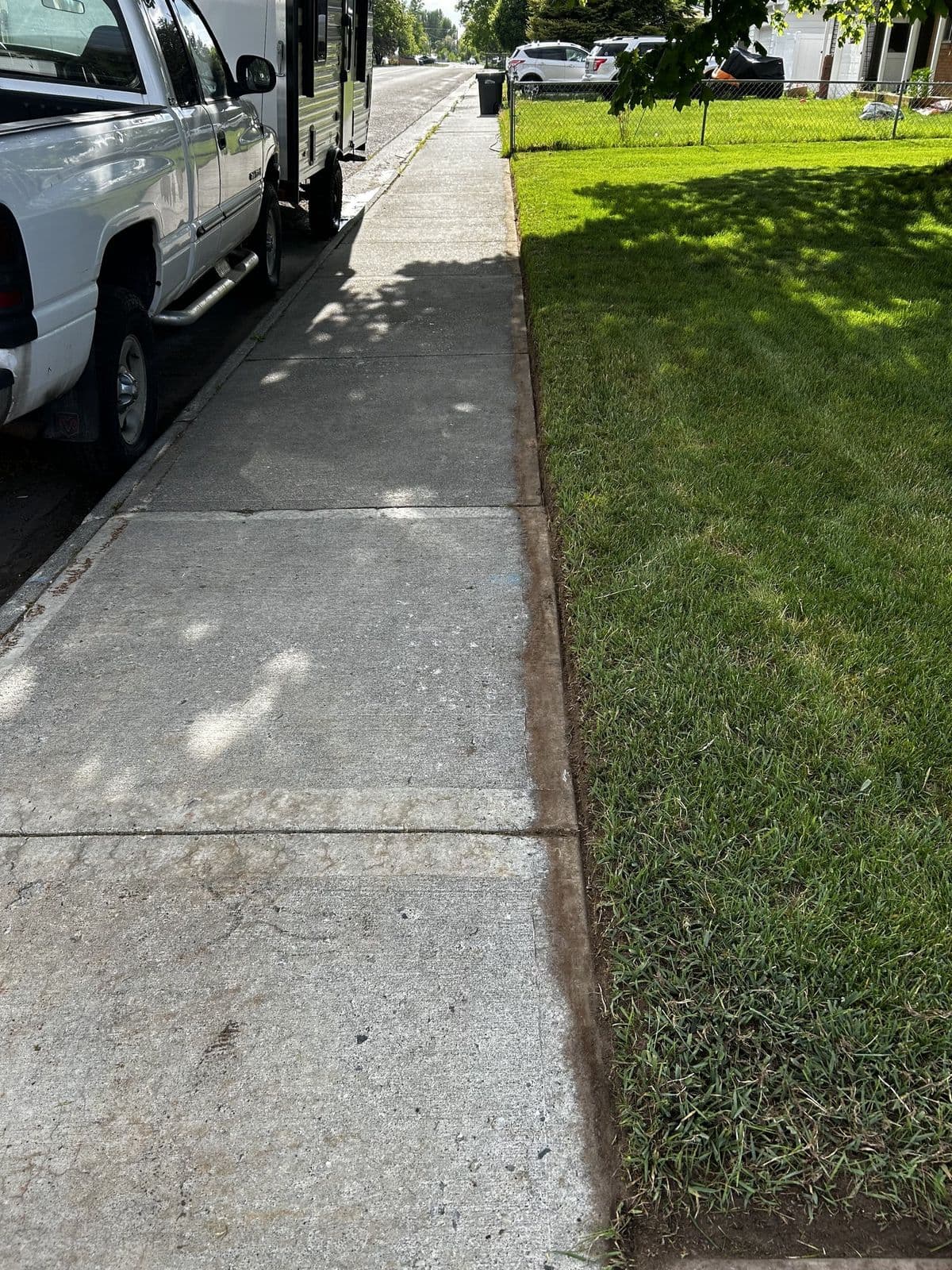 Idaho Falls, ID — Tree-shadowed sidewalk with cleanly cut grass edge in Idaho Falls — Young Buck Lawn Care