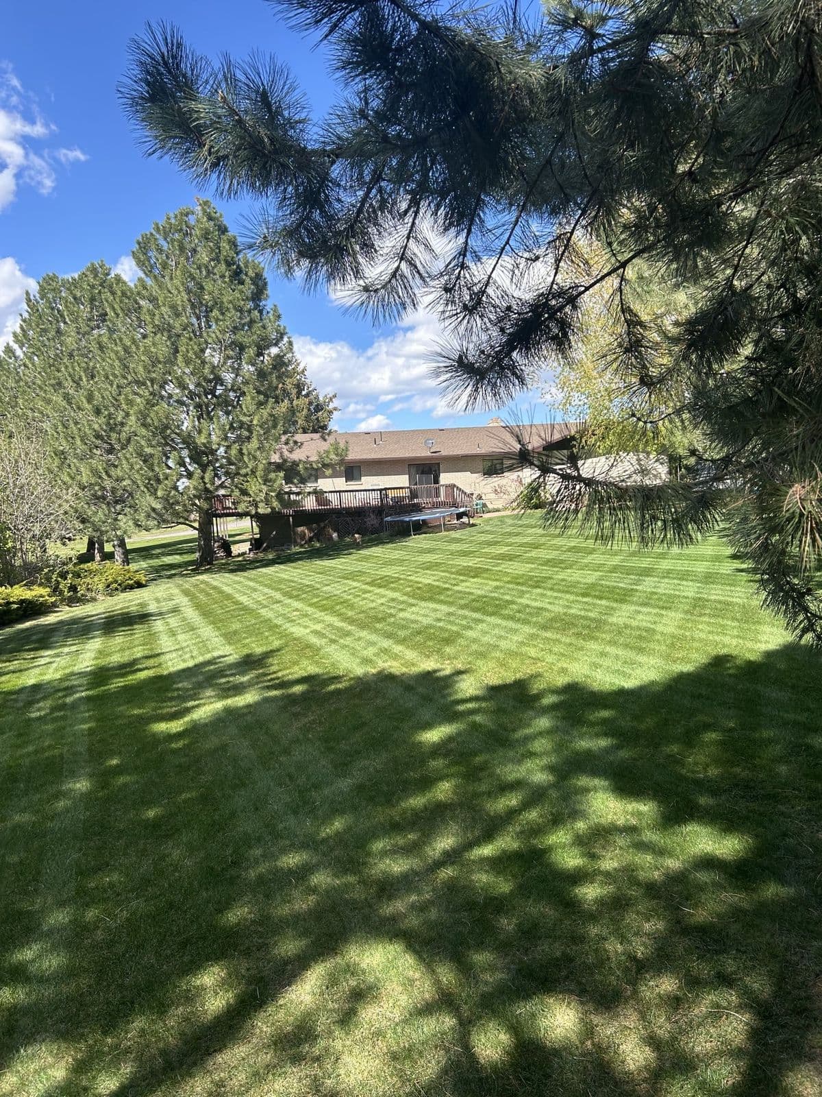 Crisp stripes after weekly lawn mowing in Rexburg, Idaho — Young Buck Lawn Care