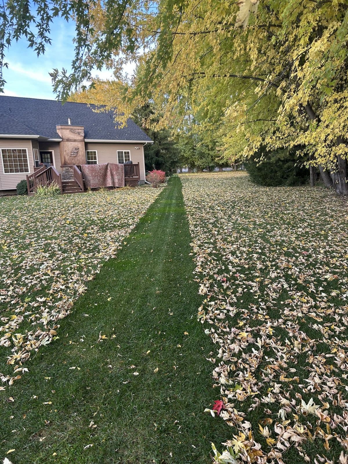 Crisp edge cut through fallen leaves after fall cleanup — Young Buck Lawn Care, Rexburg, Idaho